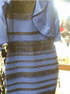 optical illusion meme