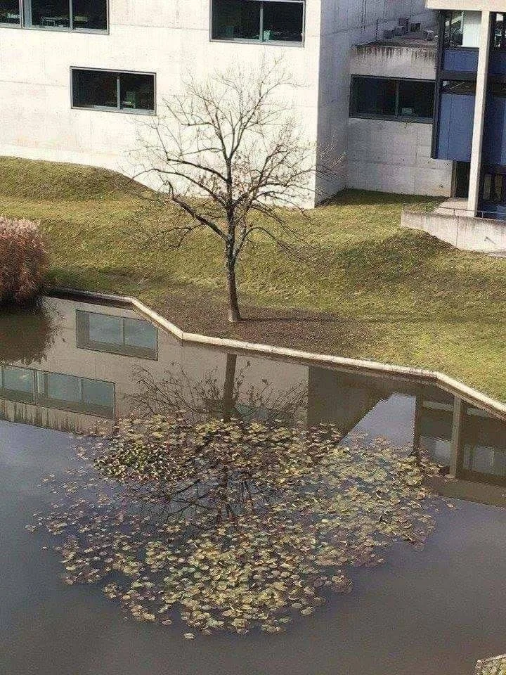 reflection meme