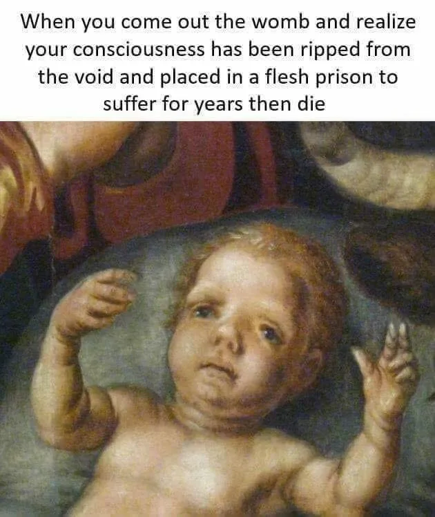 birth meme