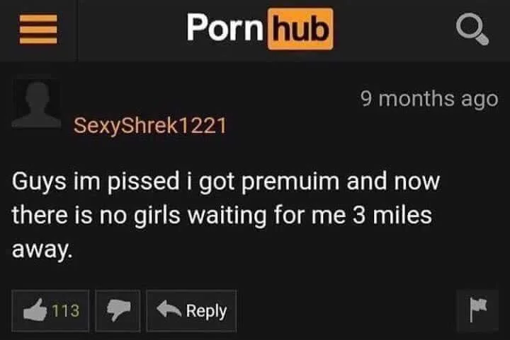 pornography meme