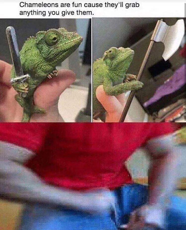 chameleon meme