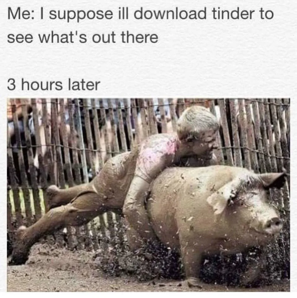 Tinder meme