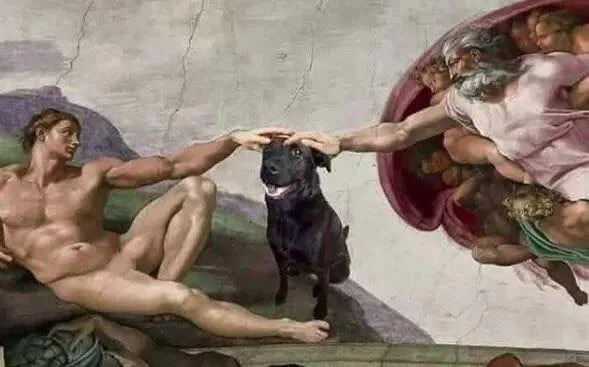 Sistine Chapel meme