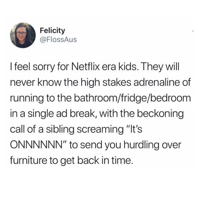 Netflix meme