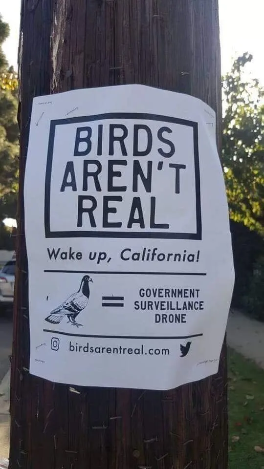 conspiracy theory meme