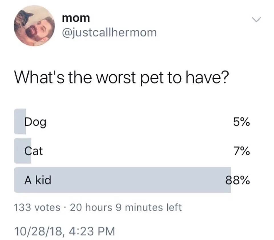 pet meme