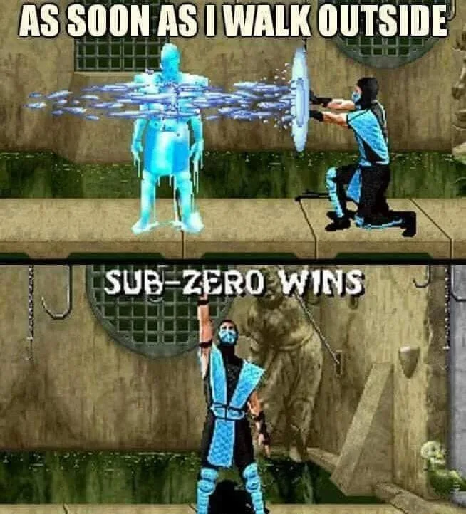 winter meme