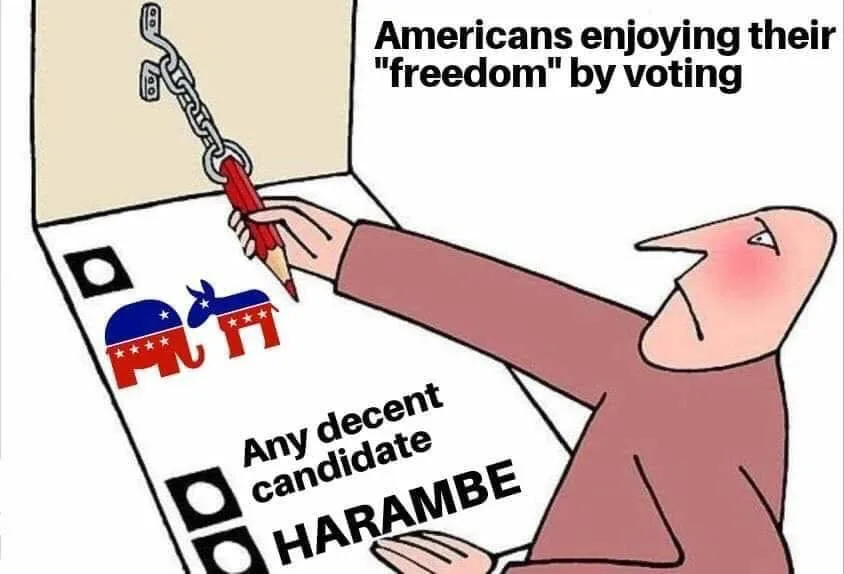 voting meme