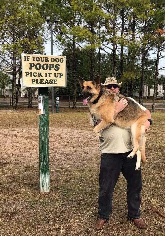 dog park meme