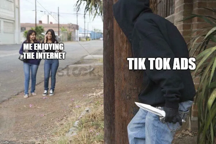 TikTok meme