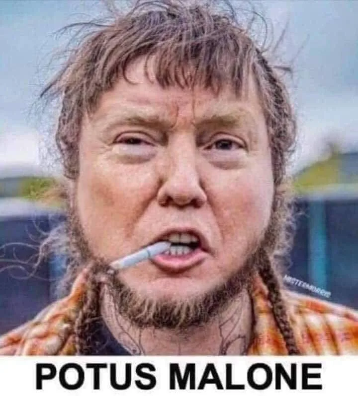 Donald Trump meme