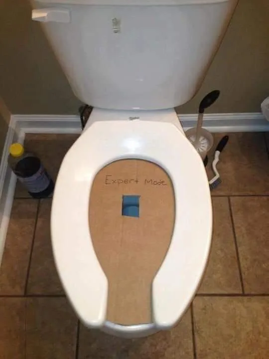 toilet meme