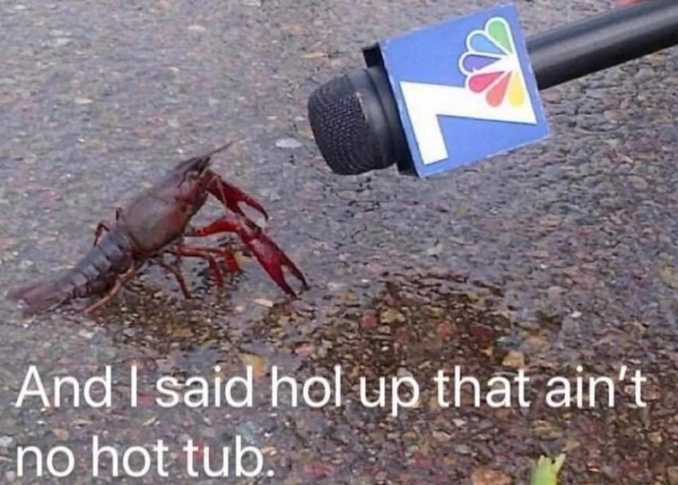 crayfish meme