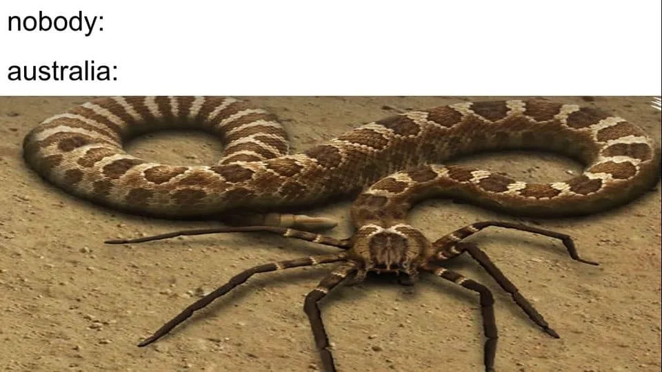 Australia meme