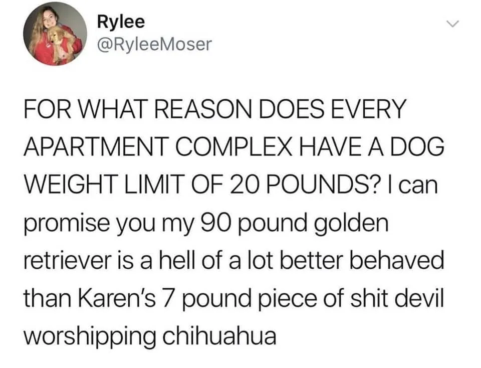 dog owner meme