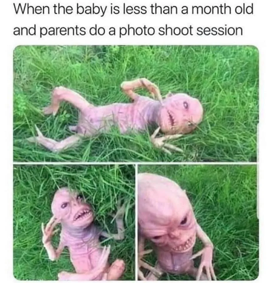 photography meme
