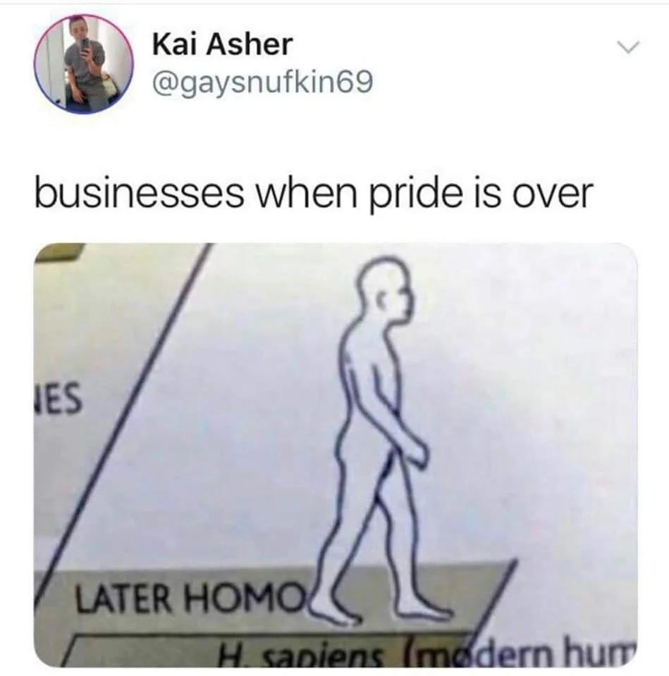 gay pride meme