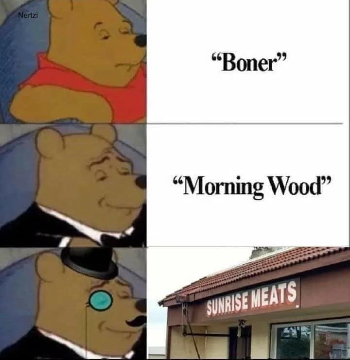 erection meme
