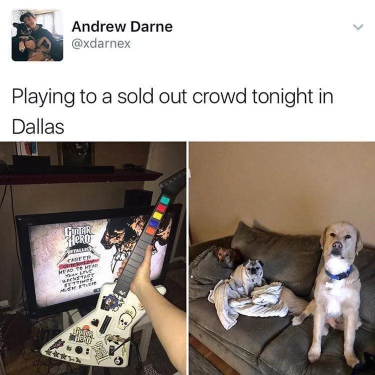 concert meme