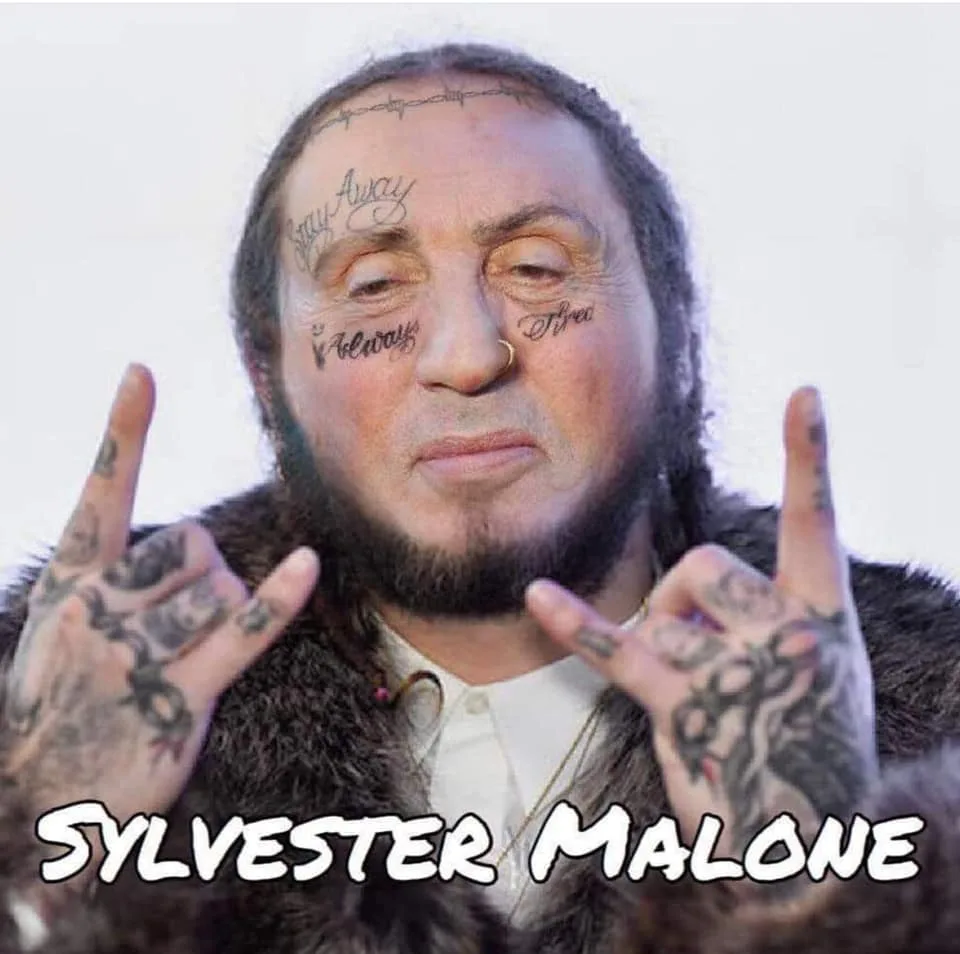 Sylvester Stallone meme