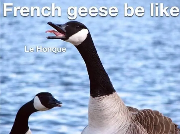 French (language) meme