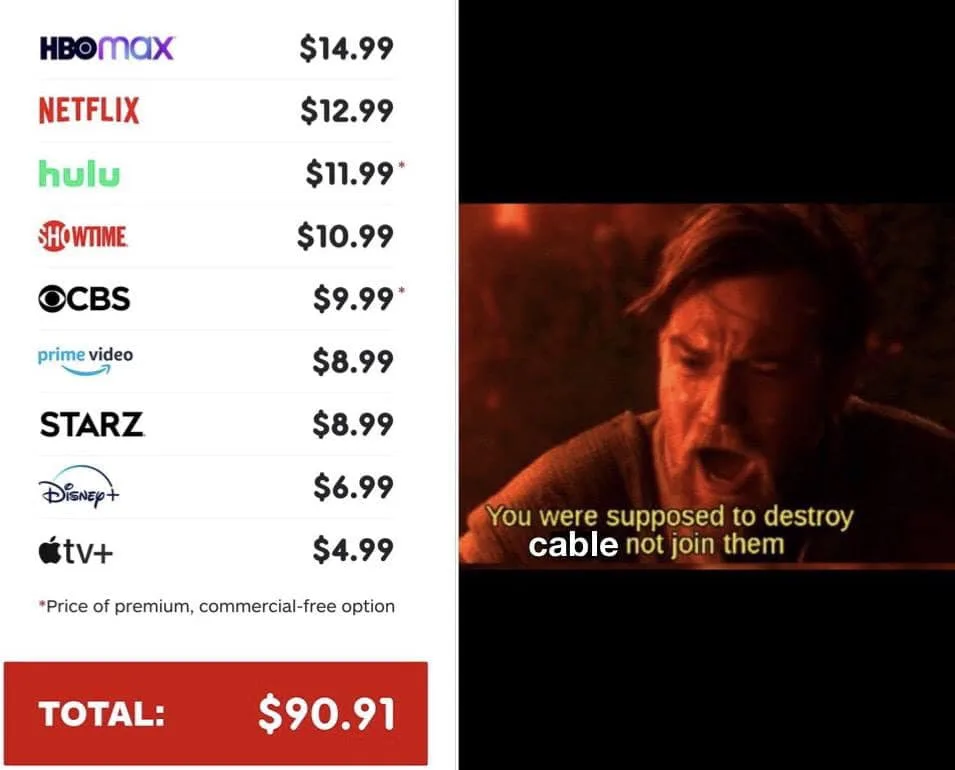 Netflix meme