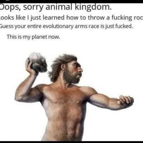 rock meme