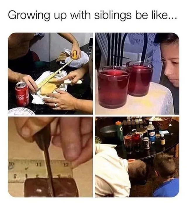 sibling meme