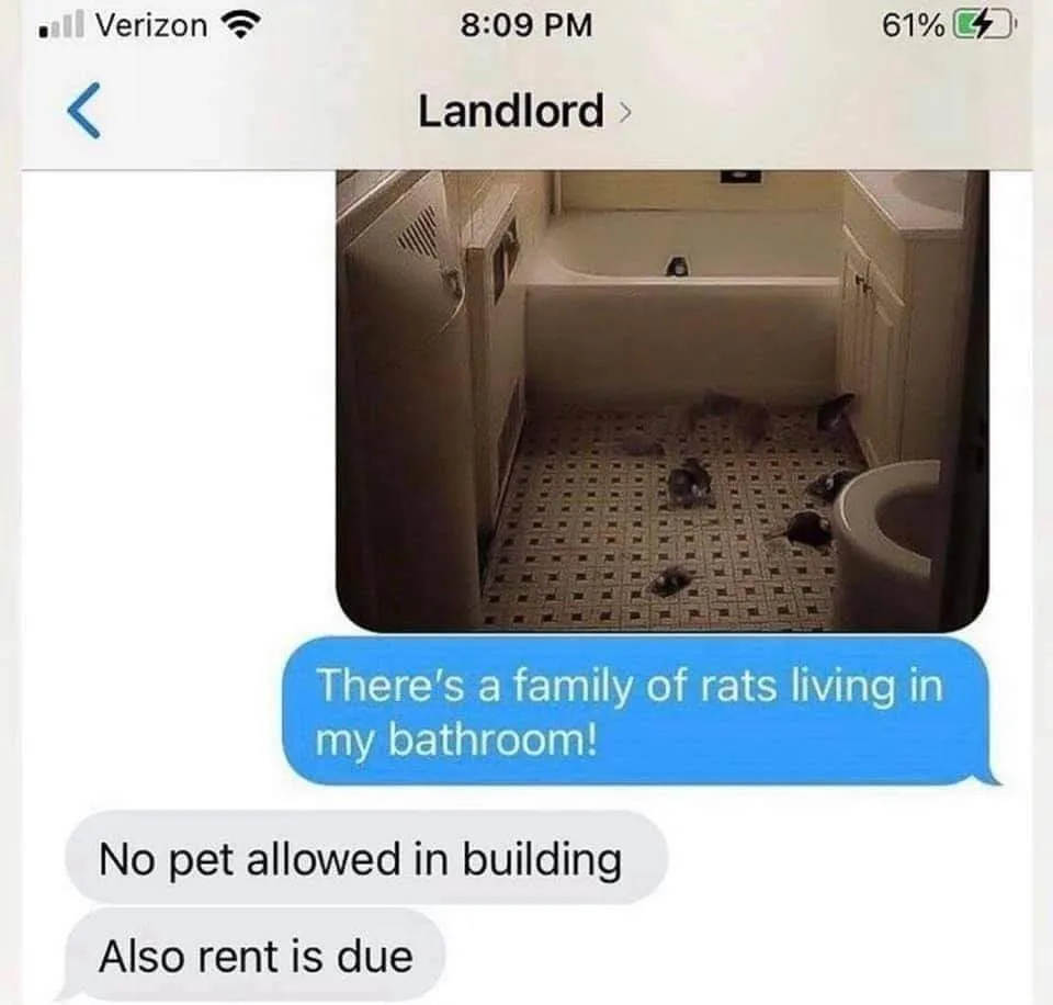 renting meme
