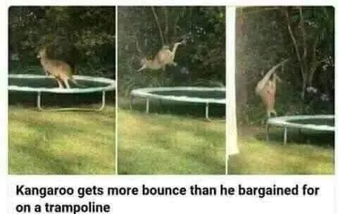 bouncing meme