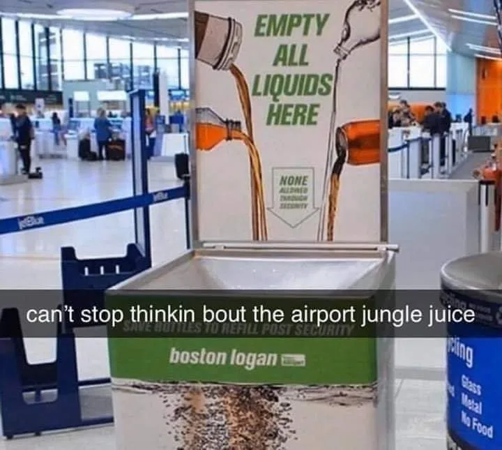 TSA meme