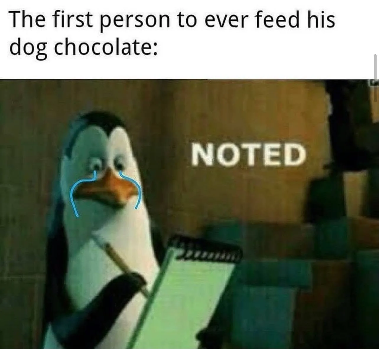 chocolate meme
