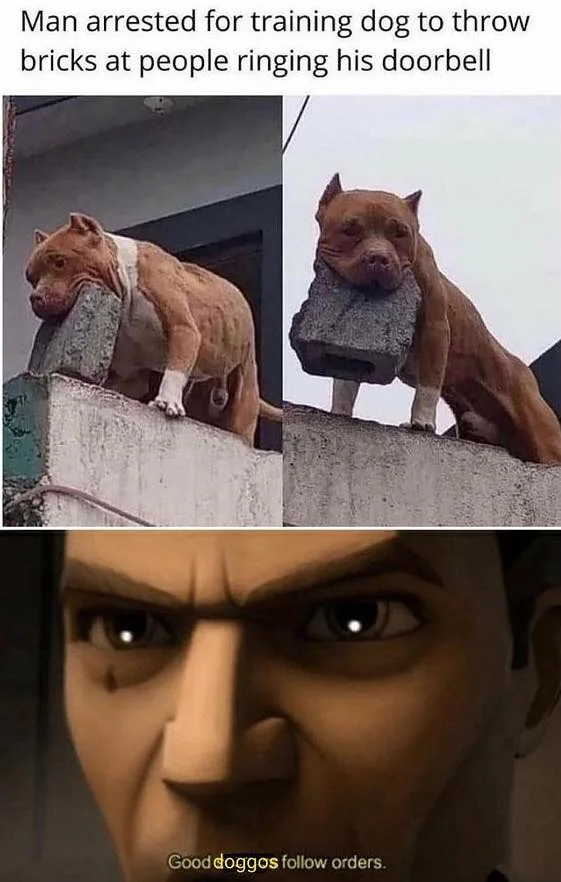 guard dog meme