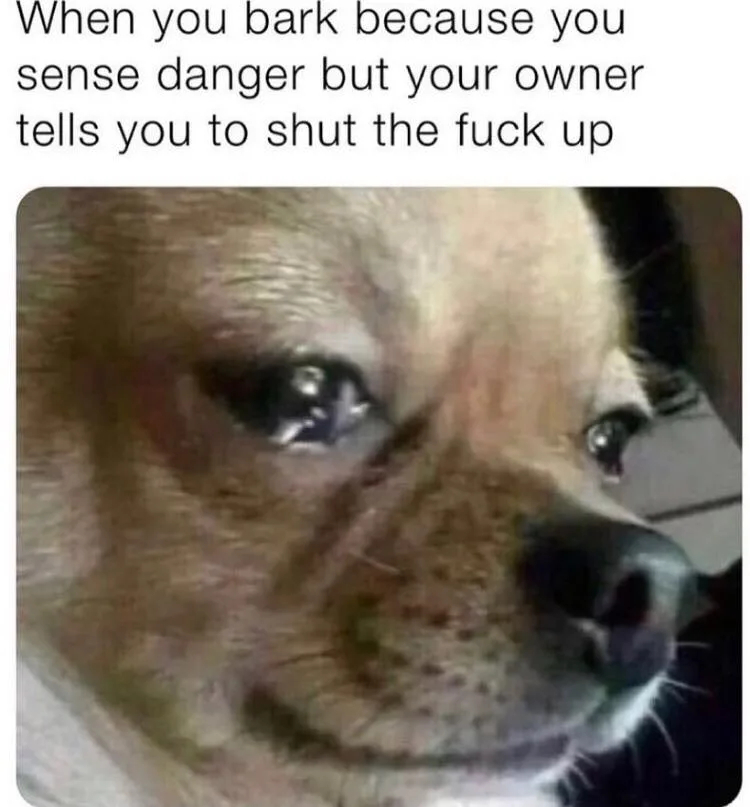 barking meme