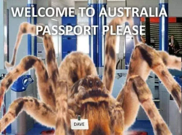 Australia meme