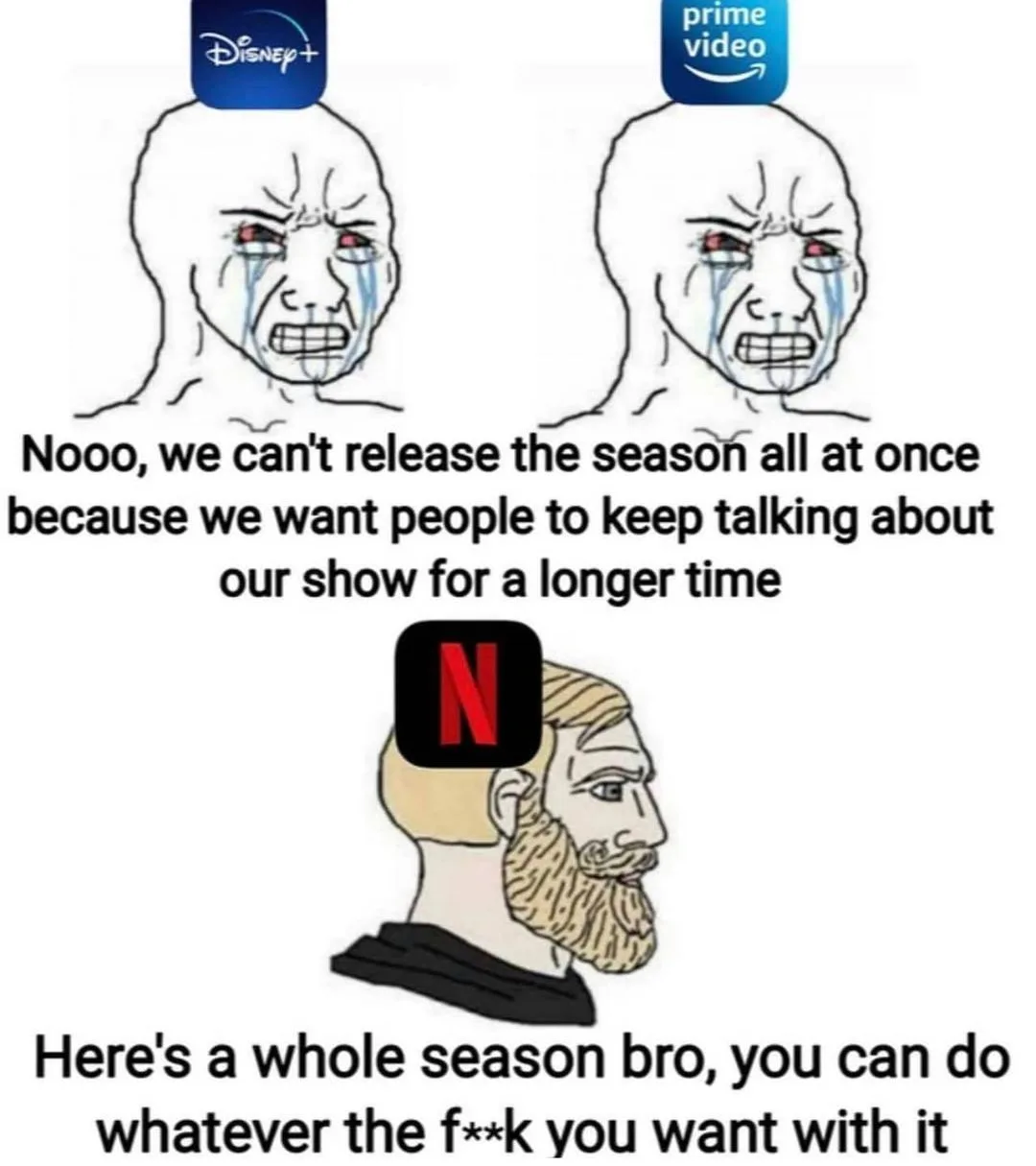 Netflix meme