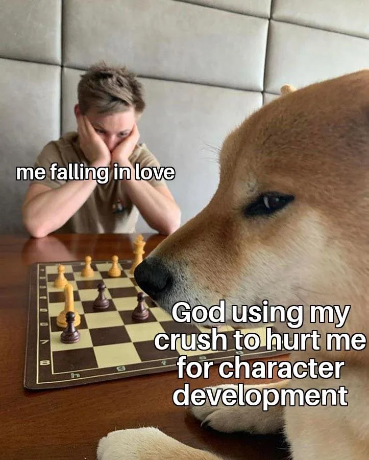 crush meme