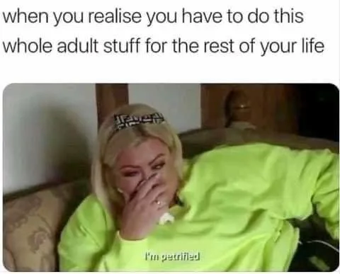 adulthood meme