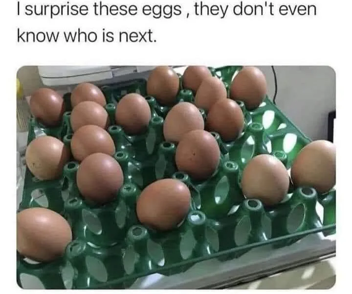 egg meme
