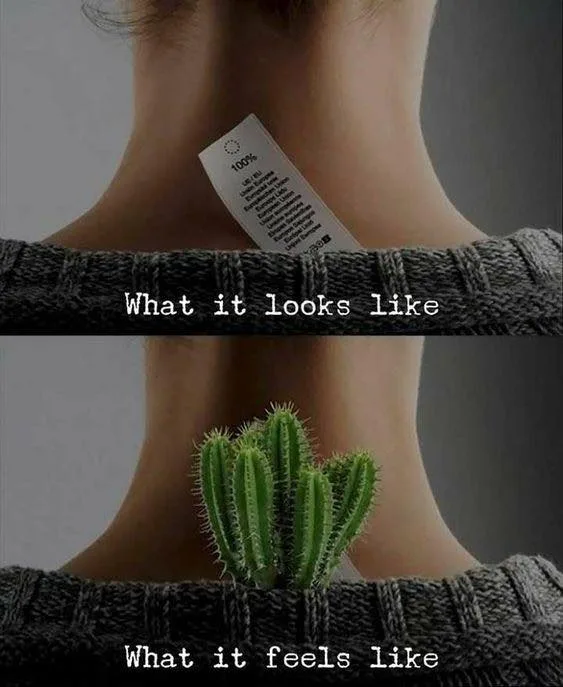 itchiness meme