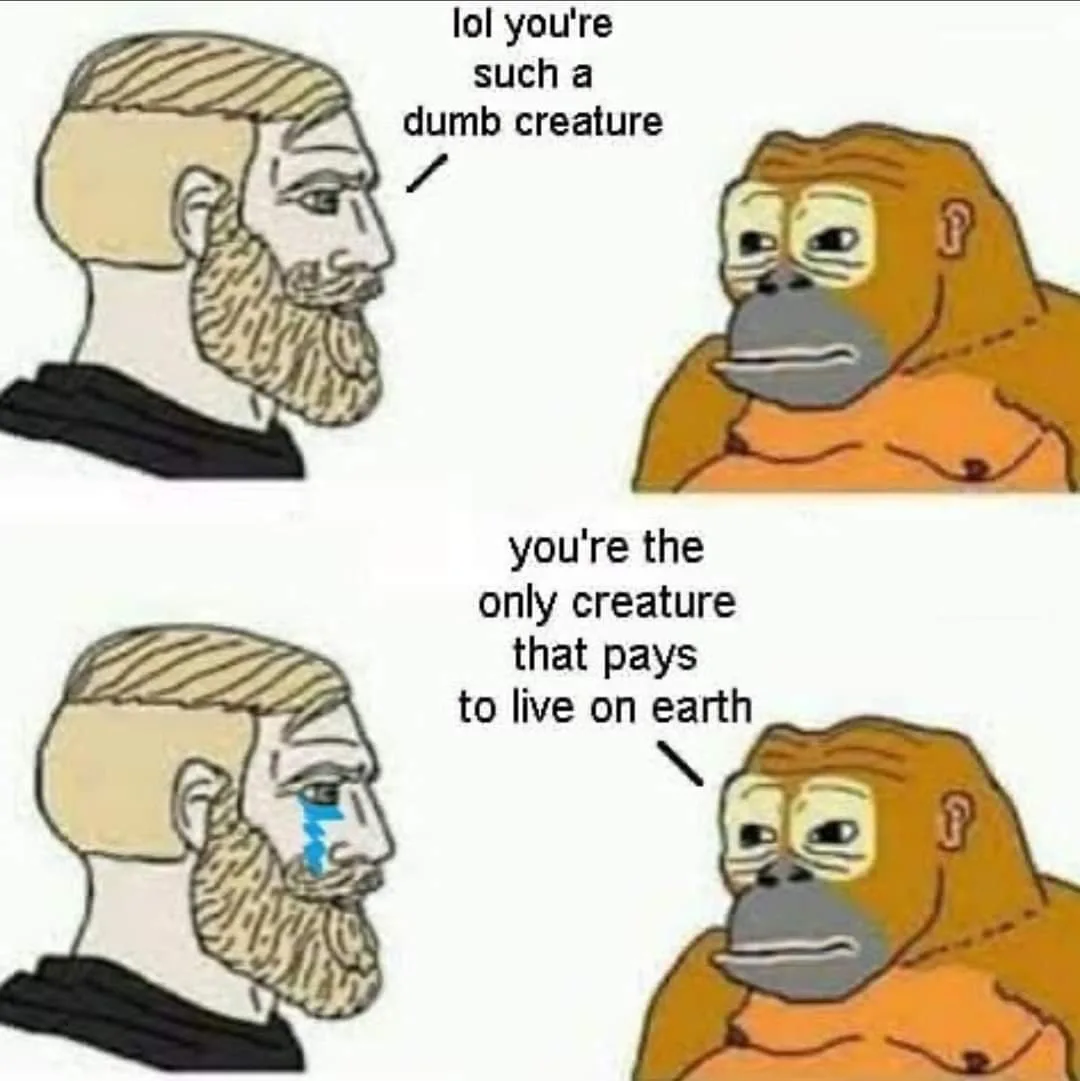 human being meme