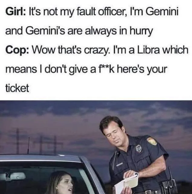Gemini meme