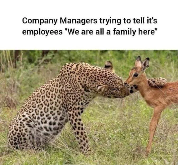 employee meme