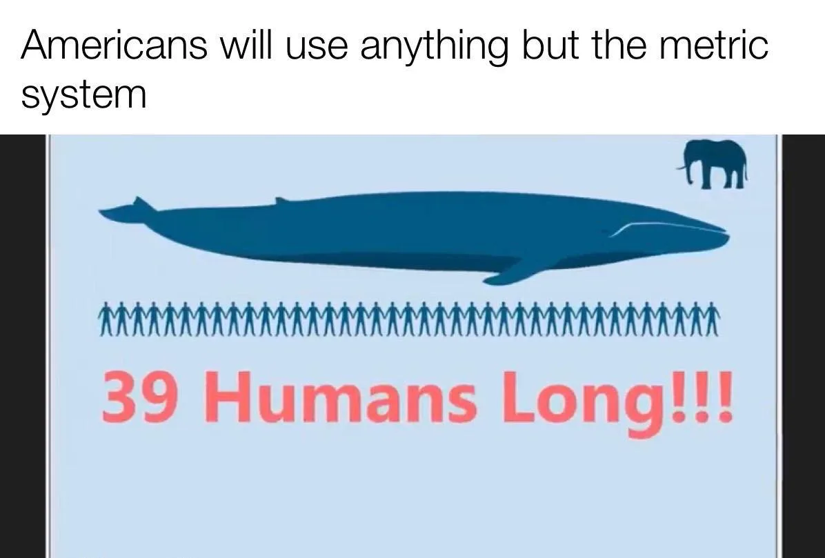 whale meme