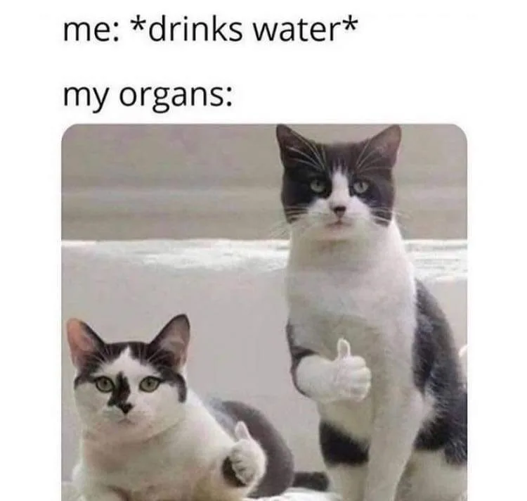 water meme