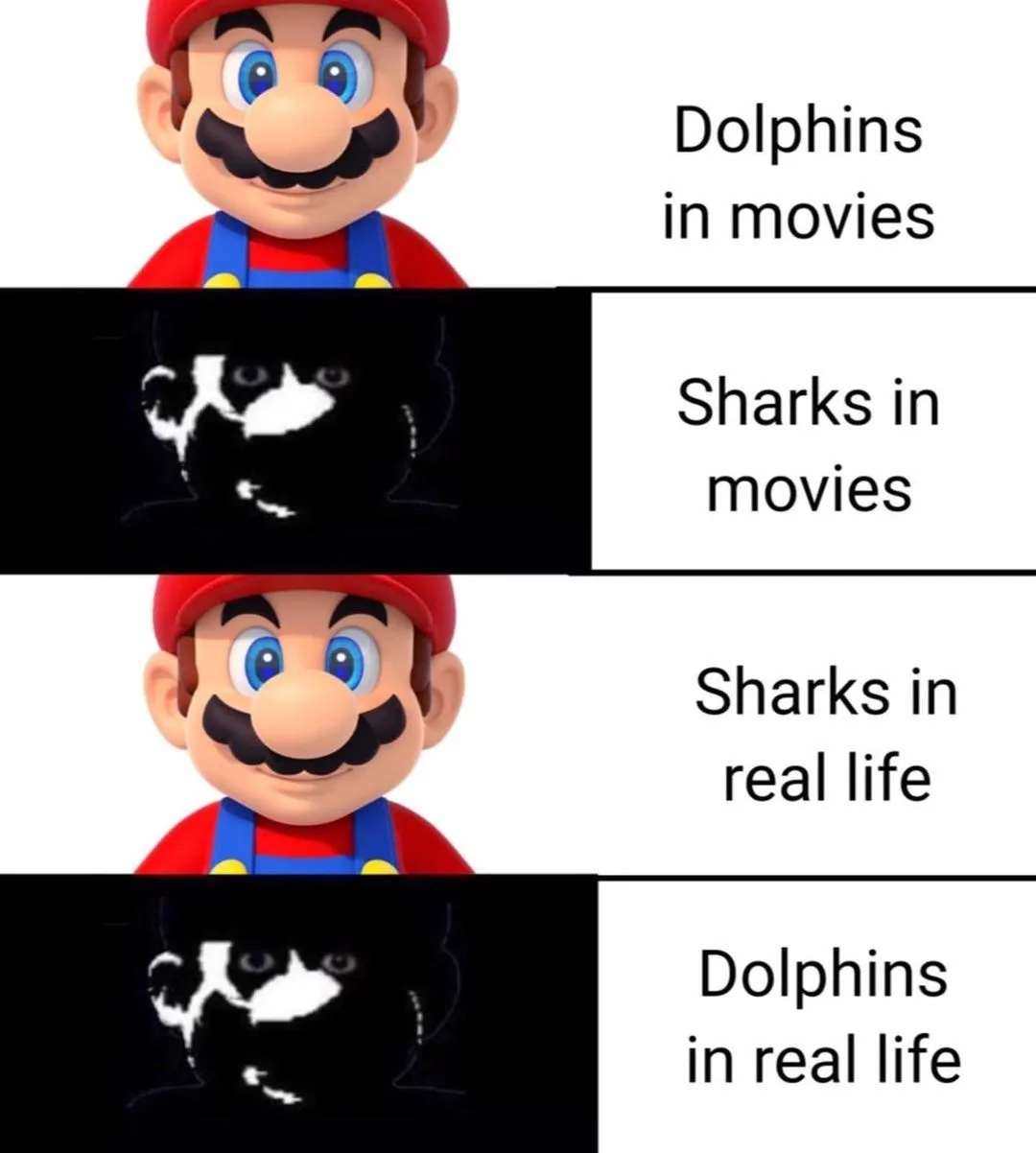 dolphin meme