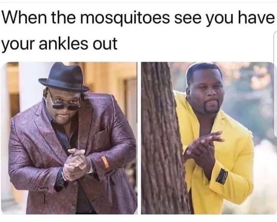 mosquito meme