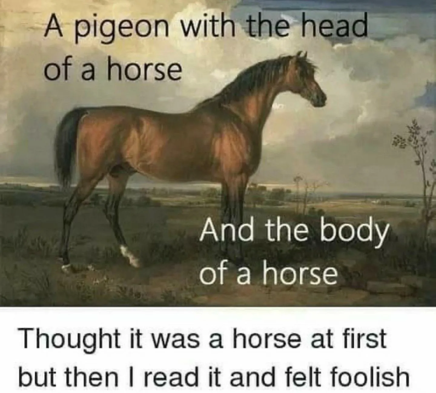 horse meme