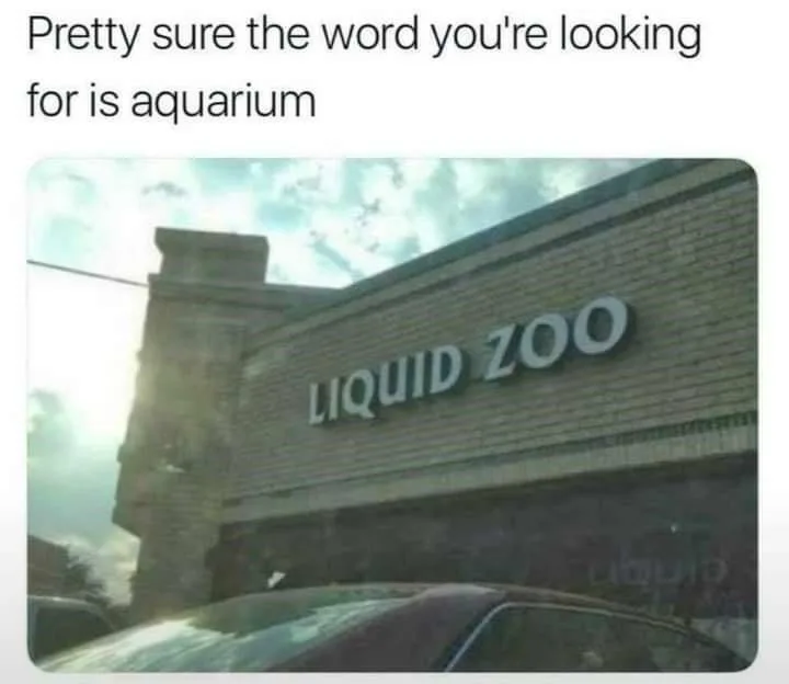 fish meme