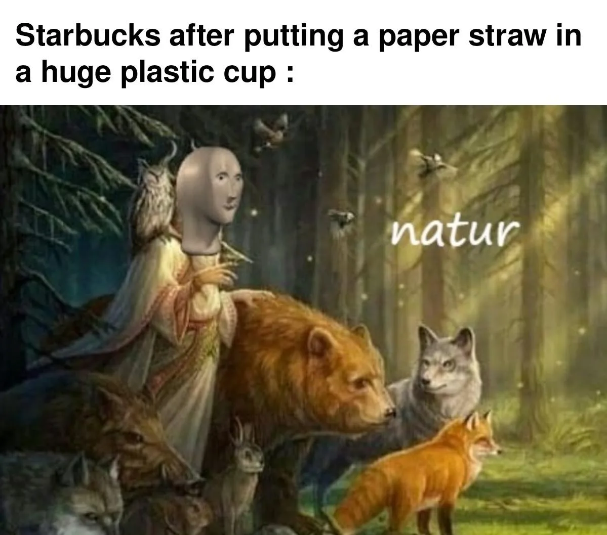 environmentalism meme